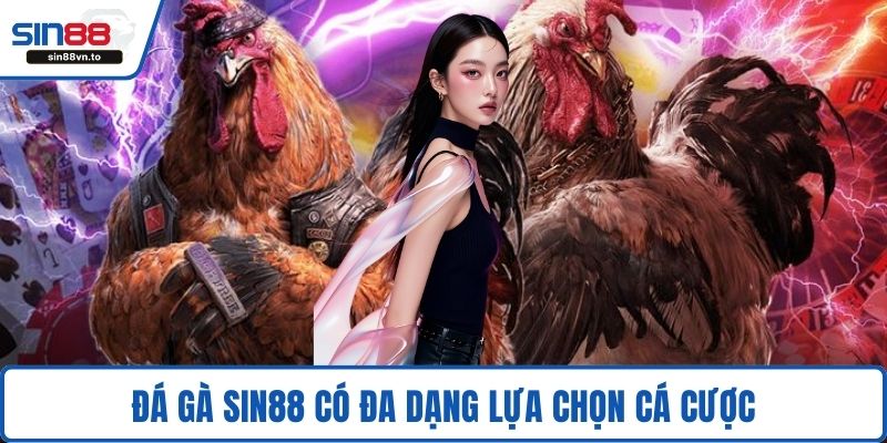 Đá gà SIN88 có đa dạng lựa chọn cá cược