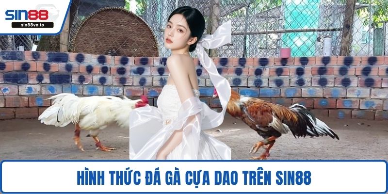 Hình thức đá gà cựa dao trên SIN88