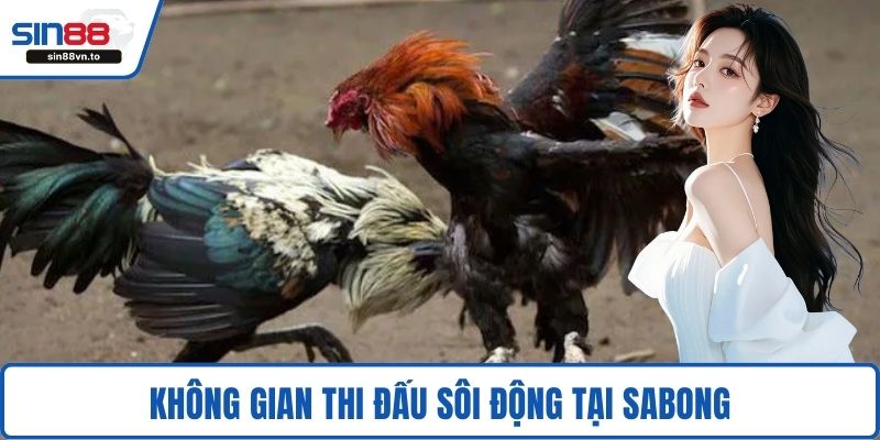 Không gian thi đấu sôi động tại Sabong