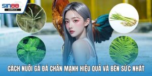 cach nuoi ga da